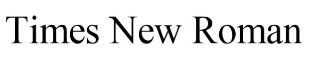 Times New Roman Font